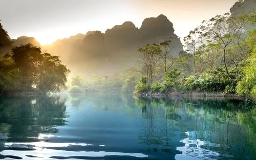 高精度电子高端